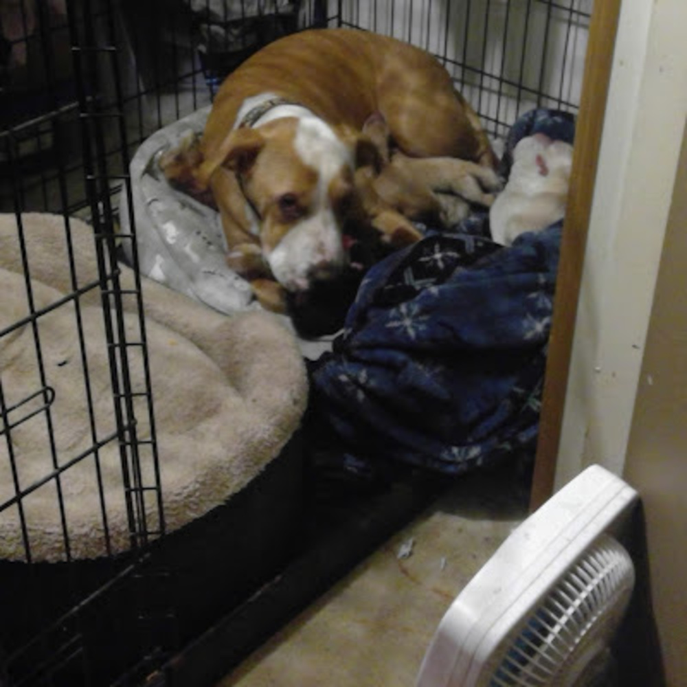 Meet your Posher, Darius